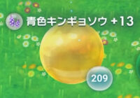 ピクミンブルームの青色キンギョソウのフルーツ、エキス少なすぎ！！