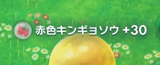 ピクミンブルームの青色キンギョソウのフルーツ、エキス少なすぎ!!